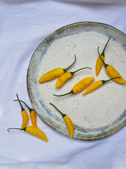 Blue Wave Serving Dish