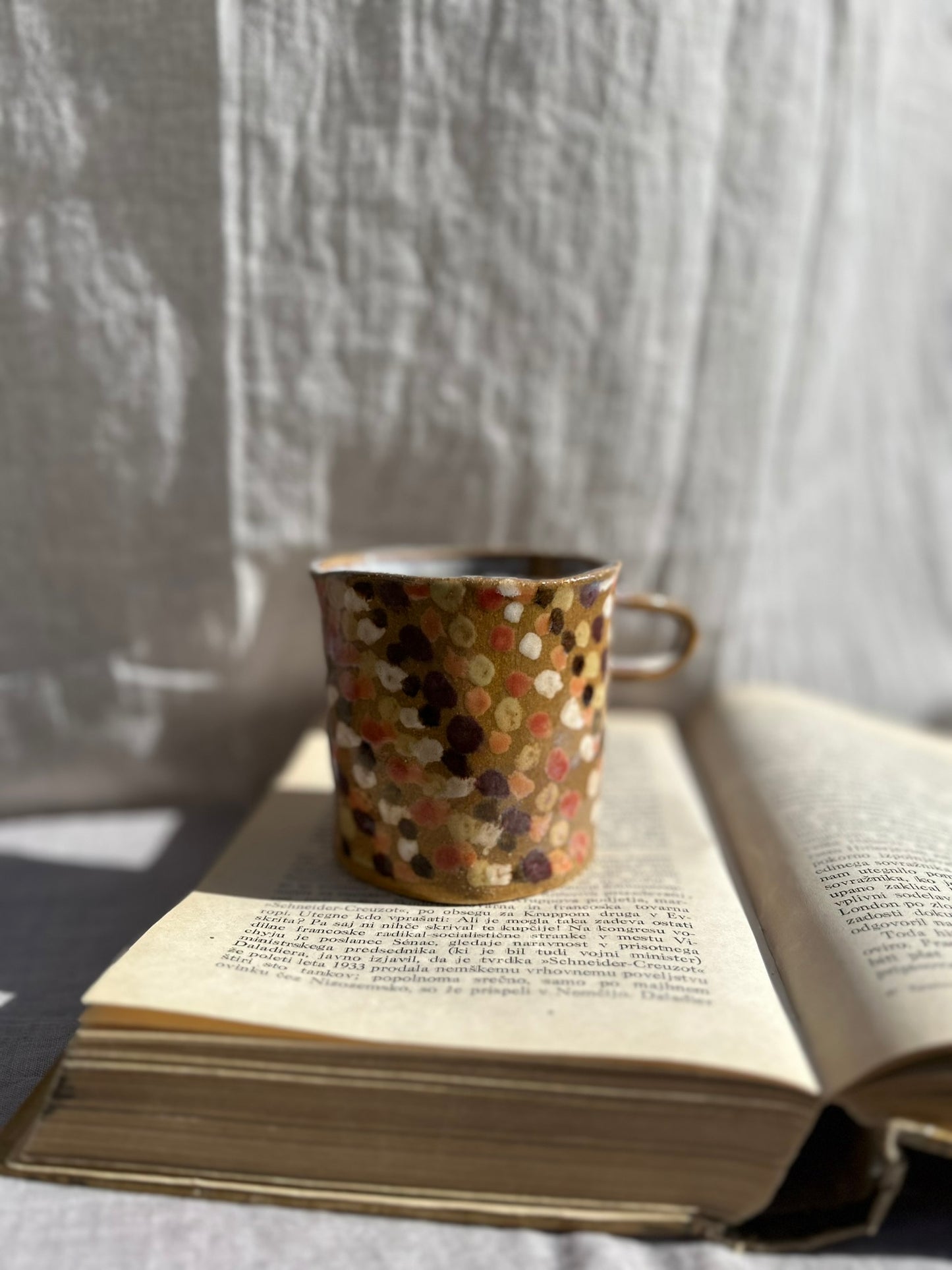 Pair of Dotted Mugs
